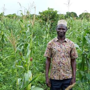 Positive deviance: Uncovering superior farming practices in Tanzania